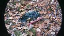 UFO BF (11/29/2009) 15-inch Bigfoot Prints discovered in my backyard woods