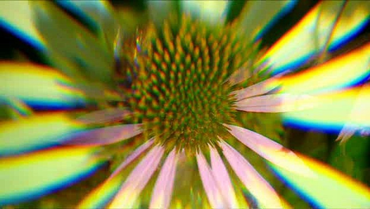 Grow.Your.Own Drugs.S02E02