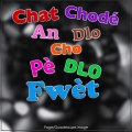 Guadeloupe : Chat chodé (Du créole au français) - PROVERBE Antilles