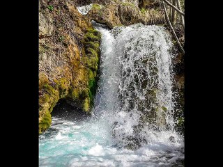 VASILIJA RADOJCIC- POSLA RUMENA