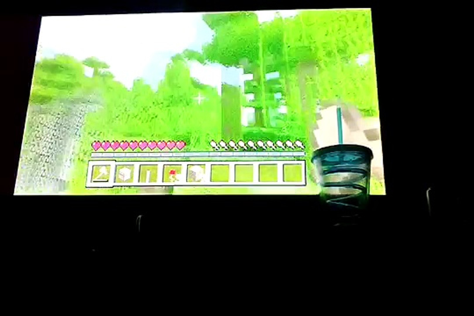 The raven [] Minecraft survival 2