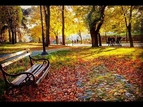 PREDRAG ZIVKOVIC- TOZOVAC- JESEN U MOM SOKAKU