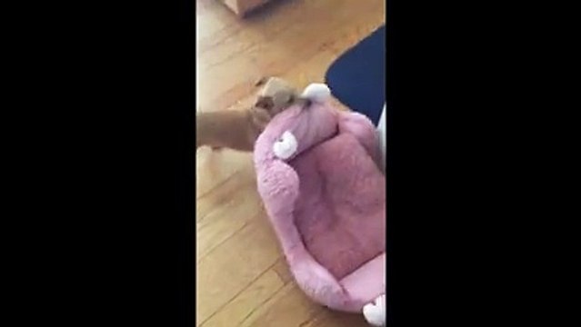 Quand t'as décidé de dormir dehors... Ahahah