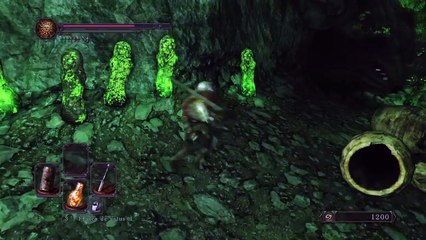 DARK SOULS™ II: Scholar of the First Sin El podrido