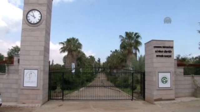 Bitki Türleri Botanik Bahçesi Yle Korunacak