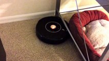 IRobot Roomba 580 Undocking and Mopping