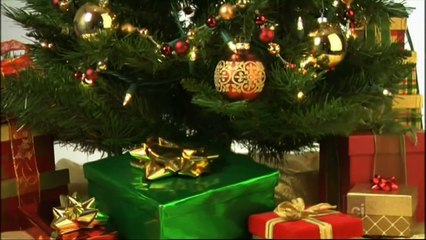 Crime Files - Secrets and Lies