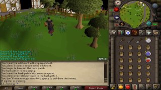 How to get free money on RuneScape 2007