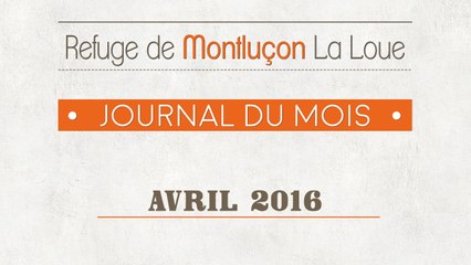 Un mois au refuge : avril 2016