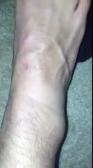 ILL BE BACK ( READ DESCRIPTION )