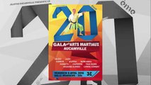 NUNCHAKU -Gala des arts martiaux Aucamville 2016