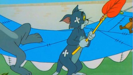 Tom and Jerry - 53 Episode - The Framed Cat (1950)