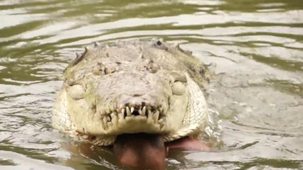Costa Rica Chito The Crocodile Man and the famous Crocodile Poncho