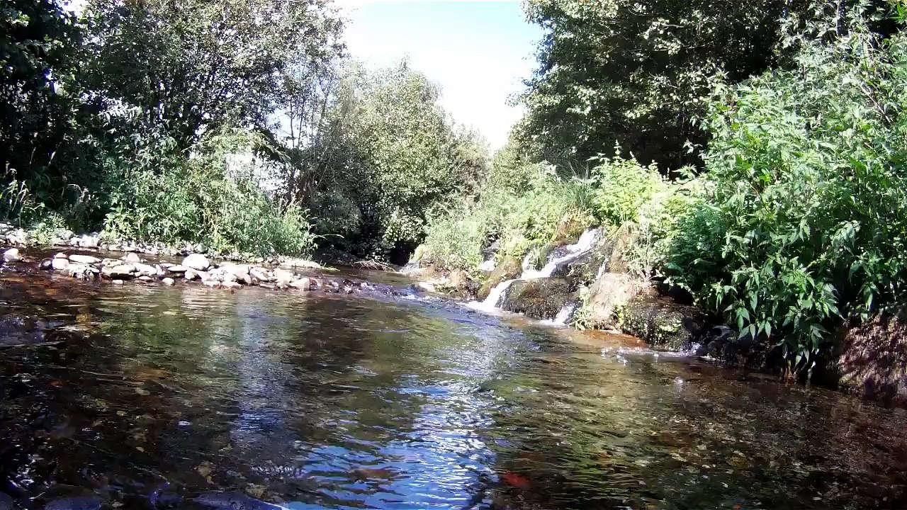 Loivos da Ribeira, Baião - Portugal