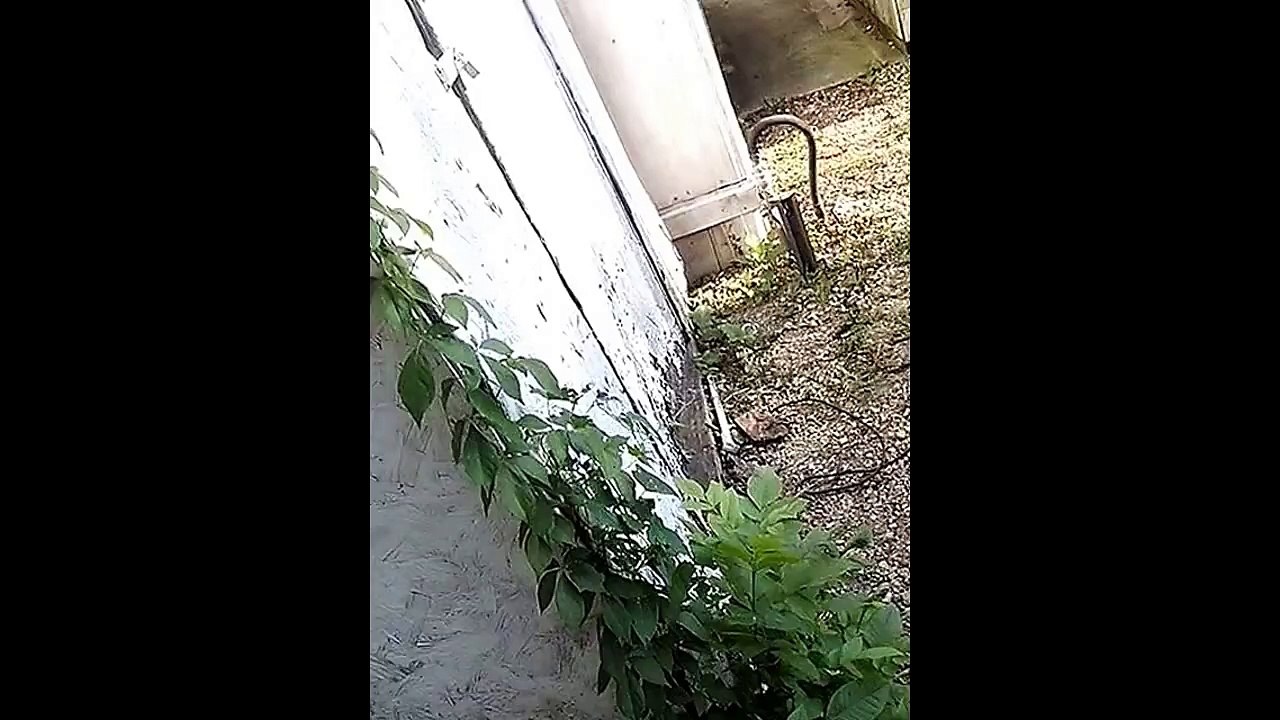 My New place