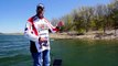 How to Fish a Small Swim Bait - Expert fishing tips you need to know to catch more bass