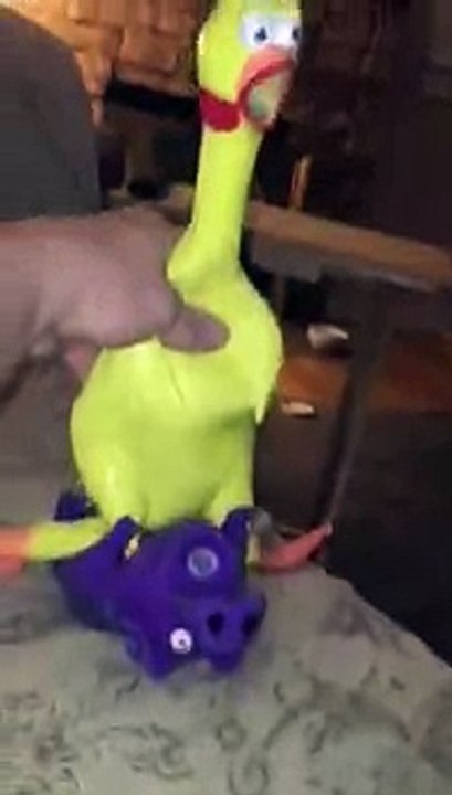 Galinha pintadinha e peppa pig