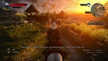 The Witcher 3 gameplay max settings on i5 gtx 950 windows 10