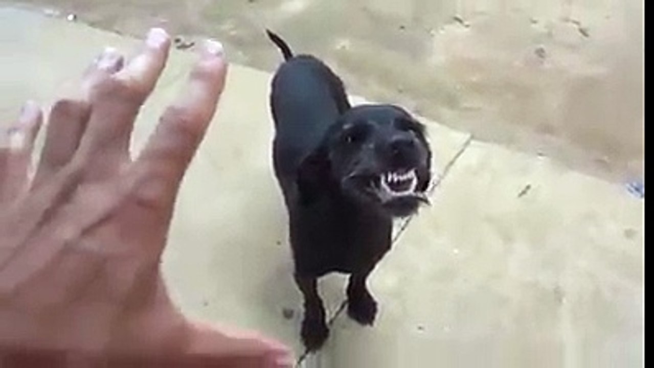 Magical hand.