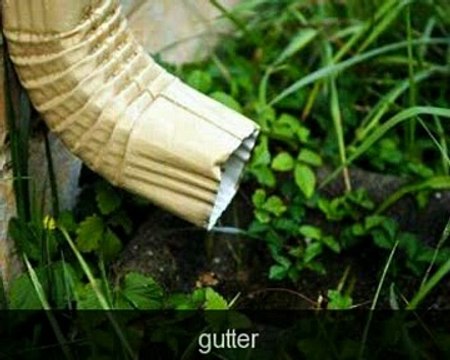 Курс английского языка Livemocha. 50 / 50. Словарь [2011]