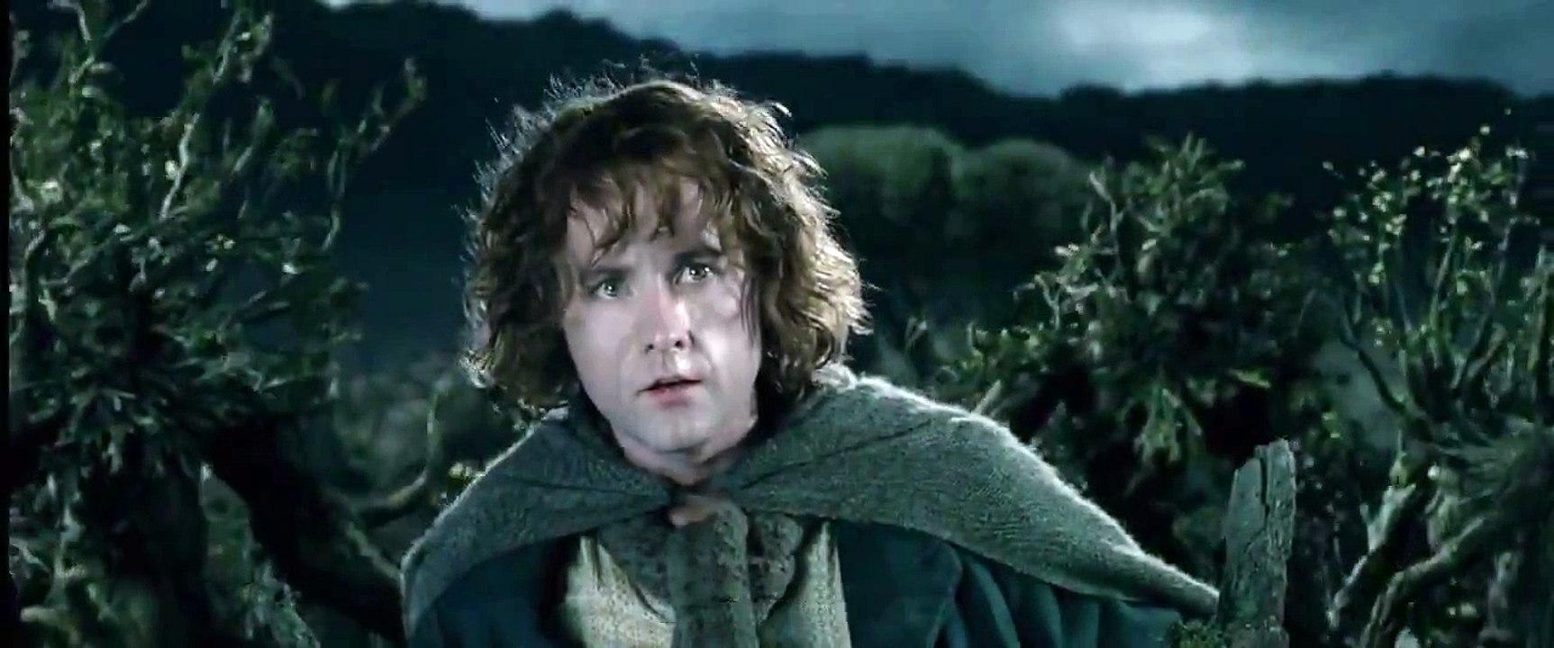 "The Ents are going to war" - The Lord of the Rings: The Two Towers