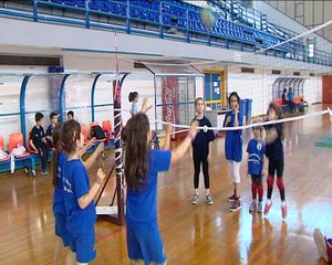 Toυρνουά βόλλευ και μίνι βόλλευ στο Χαλκιοπούλειο
