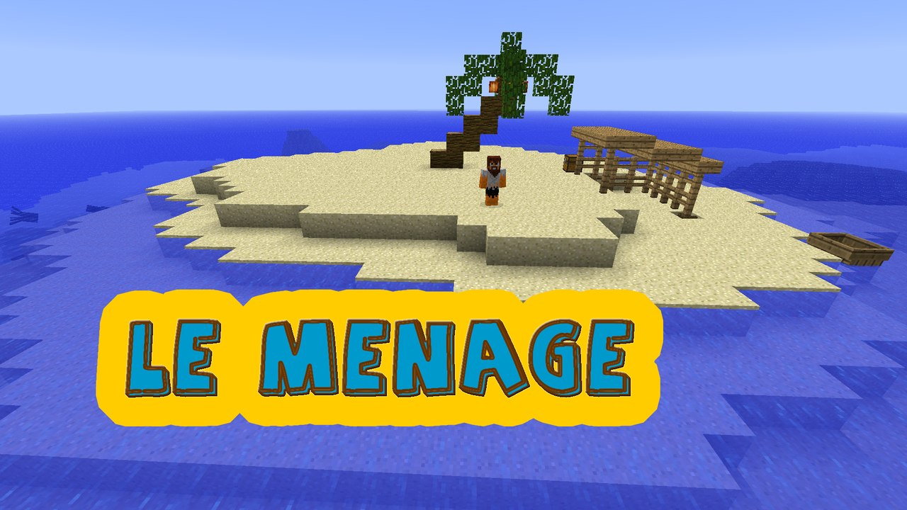 CONSEIL POUR LE MENAGE