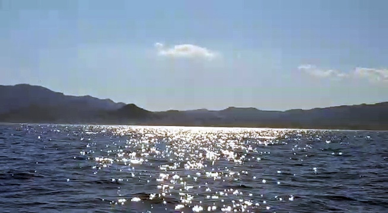 Un gros cétacé aperçu ce dimanche en baie de Cannes-Mandelieu