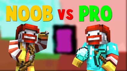 NOOB VS PRO   MINECRAFT   CORTO