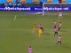 Full Time Goals HD 3-2 - Palermo vs Hellas Verona - 15.05.2016 HD