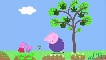 MLG Peppa Pig Plants Seeds