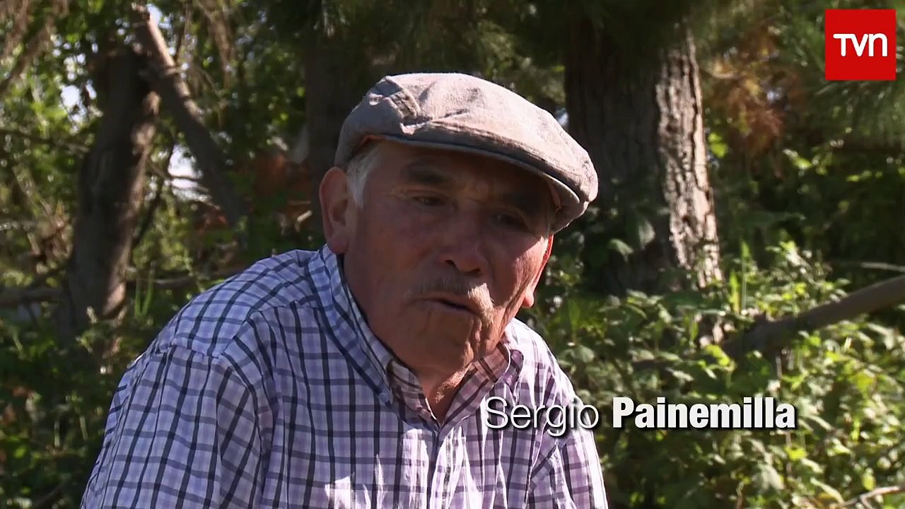 Frutos del Pais 2016- LAGO BUDI