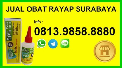 JUAL OBAT RAYAP SURABAYA