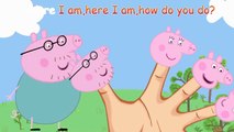 Peppa Pig Forest Camp 4 Finger Family \ Nursery Rhymes Lyrics