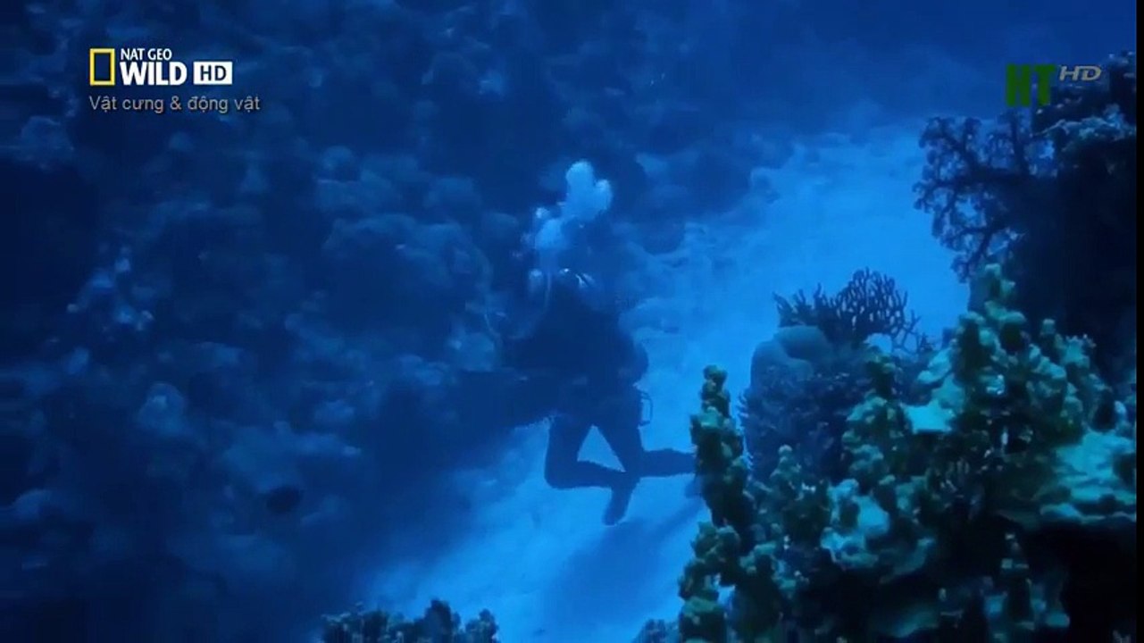 Arche de Noé Bible histoire pour les enfants (2)