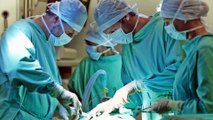 Man receives first penis transplant in the United States