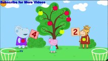 Peppa Pig Em Portugues aprender matemática | Jogos Para Crianças | Jogos Peppa Pig VickyCoolTV