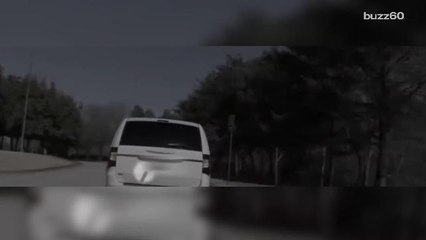 New GPS Projectile Could Put An End to High-Speed Chases