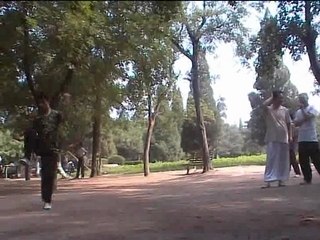 tai ji quan chen
