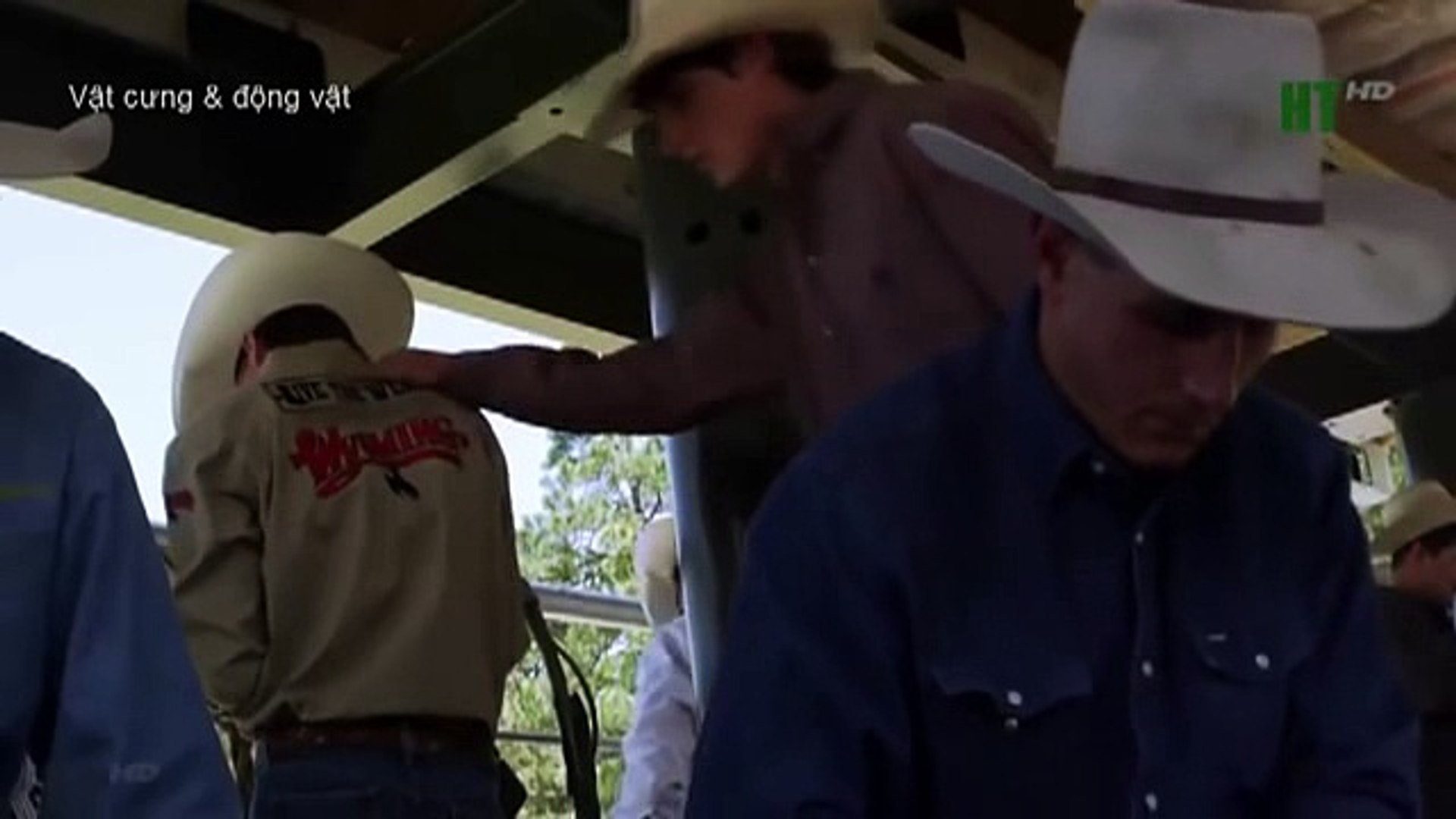 cartoon movies disney (4)