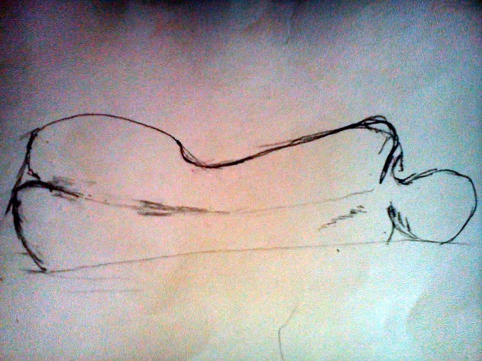 Les rives de l'art