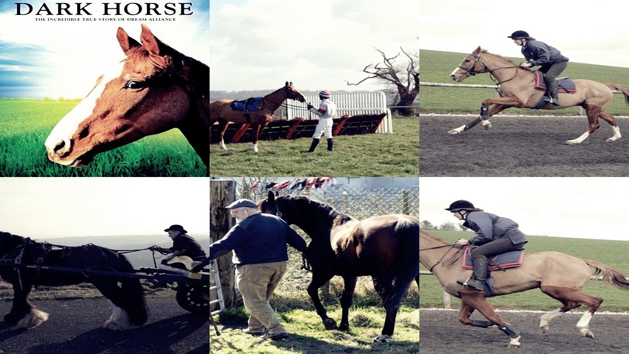 Watch Dark Horse Full Movie in English Subtitles