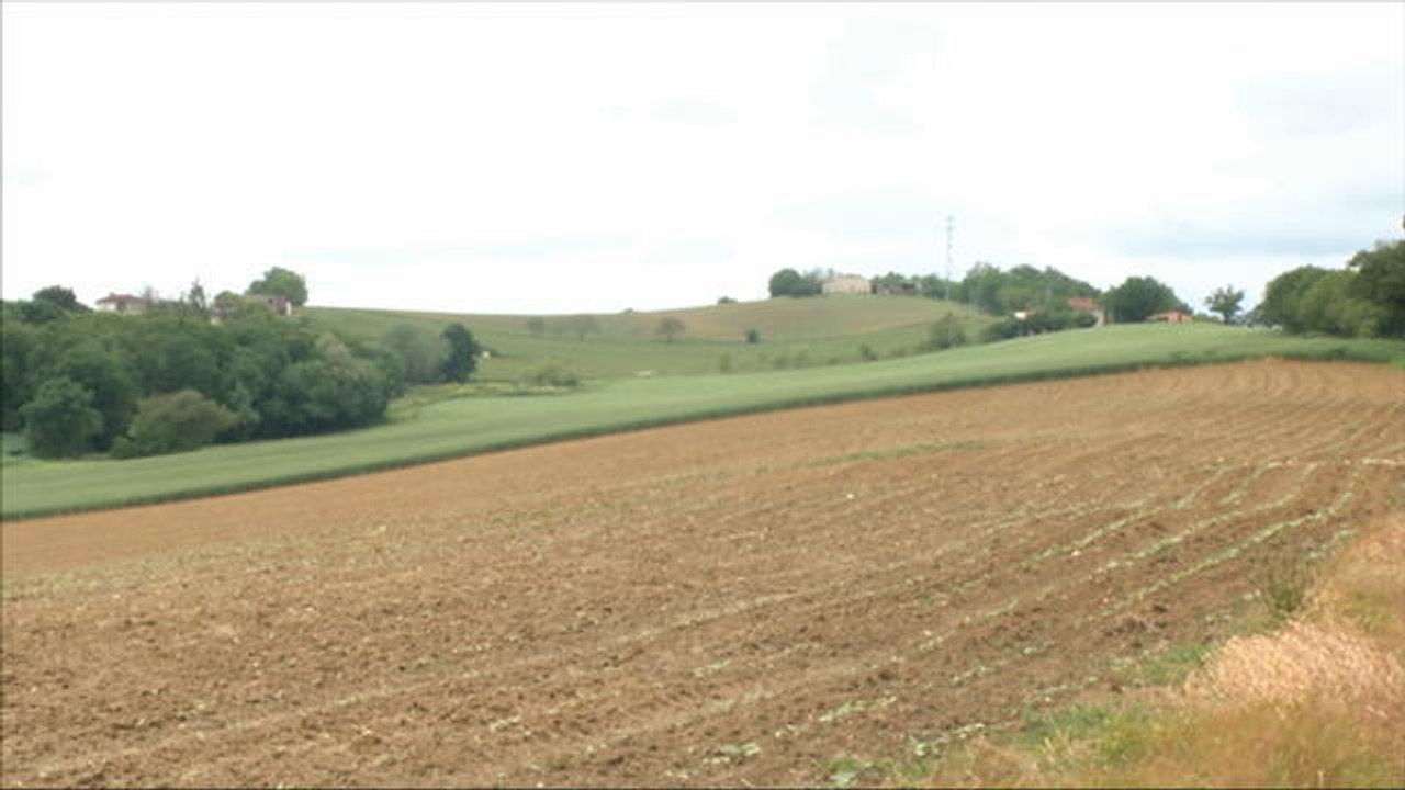 Grippe aviaire: les exploitations du Sud-Ouest retrouvent leurs canards - Le 16/05/2016 à 06h45