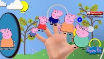 021 Peppa Pig Peppa Wutz Finger Family Nursery Rhyme Kids Songs   LullaBabies 16 05 2016 360p'