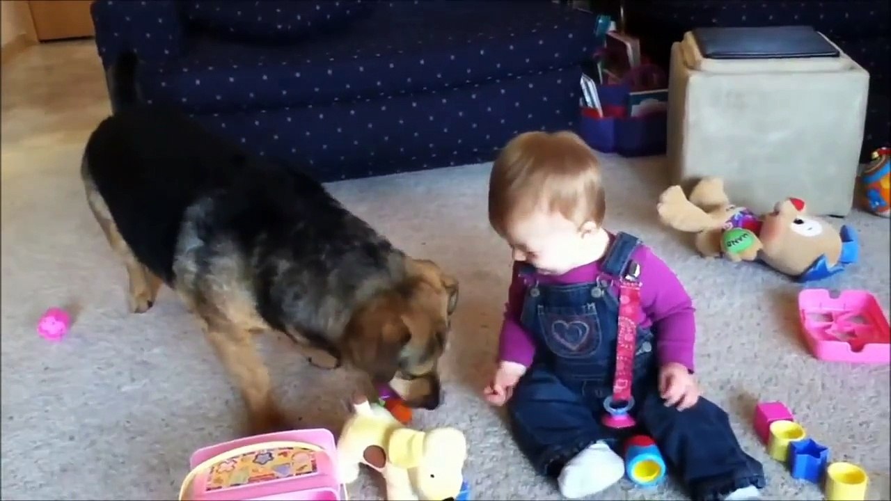 FUNNY BABY VIDEOS PART 17