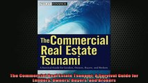READ book  The Commercial Real Estate Tsunami A Survival Guide for Lenders Owners Buyers and Brokers Full Free