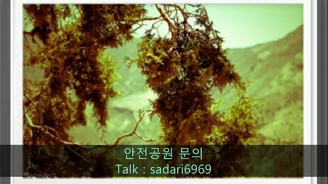 #안전놀이터 #안전놀이터추천 #메이저놀이터 #메이저놀이터추천 #안전공원 #안전공원추천 #토토사이트 #토토사이트추천 #사설사이트 #놀이터추천