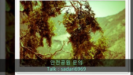 #안전놀이터 #안전놀이터추천 #메이저놀이터 #메이저놀이터추천 #안전공원 #안전공원추천 #토토사이트 #토토사이트추천 #사설사이트 #놀이터추천