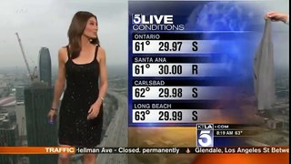 Reporter Forced To Cover Up On Live TV Because of Her Revealing Dress