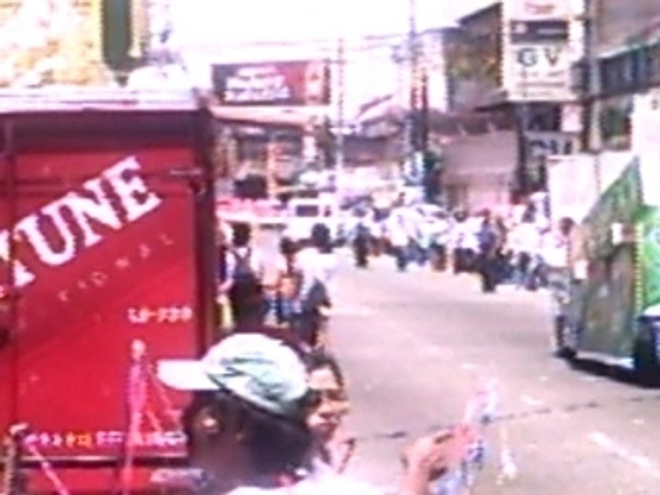 pintados1